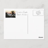 Carte postale Eagle Beach Aruba Sunset (Dos)