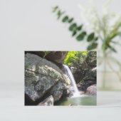 Carte Postale Eagle Cliff Falls, Kentucky (Debout devant)