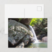 Carte Postale Eagle Cliff Falls, Kentucky (Devant / Derrière)