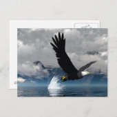 Carte postale Eagle en pleine ascension (Devant / Derrière)