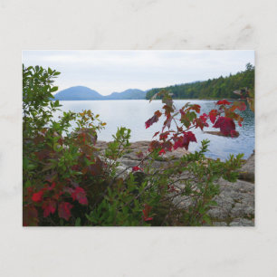 Carte Postale Eagle Lake et feuilles de érable rouges I