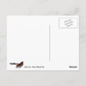 Carte Postale Eagle Lake et Red Maple Feuilles (Dos)