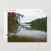 Carte Postale Eagle Lake et Red Maple Feuilles II (Devant / Derrière)