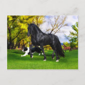 Carte postale "Early Spring" (Devant)