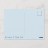 Carte postale Earth Globe (Dos)