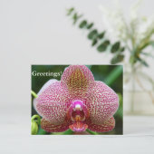 Carte postale - Earth Star (Debout devant)