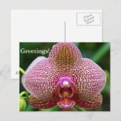 Carte postale - Earth Star (Devant / Derrière)