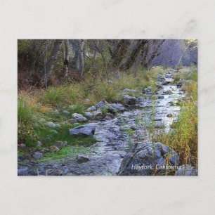 Carte Postale East Fork/Hayfork creek......