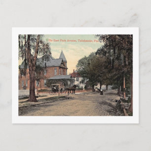 Carte Postale East Park Ave., Tallahassee, Floride Vintage