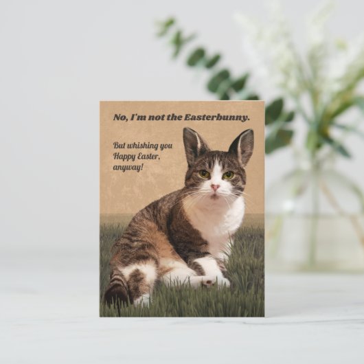 Carte Postale 😸-Easterbunny 🐰 (Debout devant)