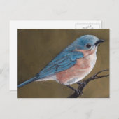 Carte postale Eastern Bluebird Bird Art (Devant / Derrière)
