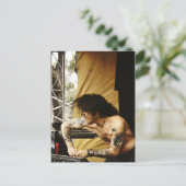 Carte postale Eat Static 2008 (Debout devant)