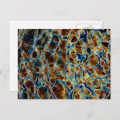 CARTE POSTALE EAU (Devant / Derrière)