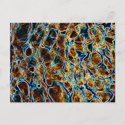 CARTE POSTALE EAU (Devant)