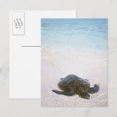 Carte Postale Eau (Devant / Derrière)