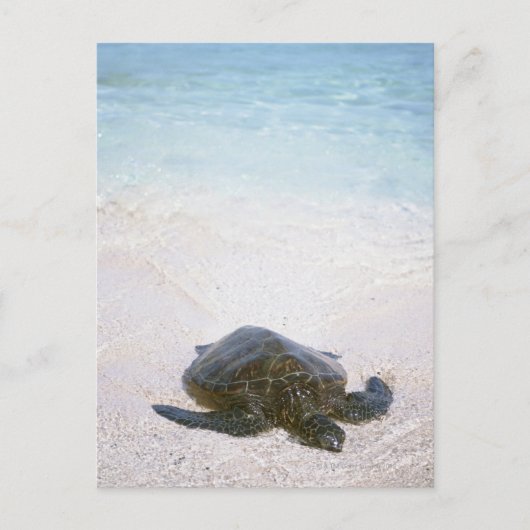 Carte Postale Eau (Devant)