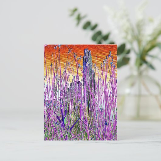 CARTE POSTALE EAU (Debout devant)