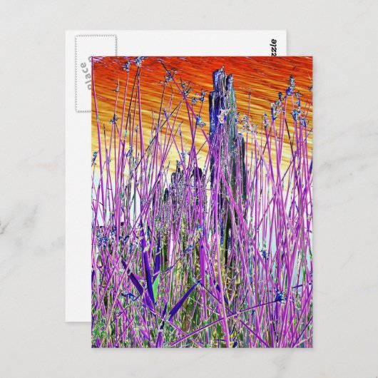 CARTE POSTALE EAU (Devant / Derrière)