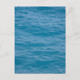 Carte Postale Eau bleue des Caraïbes