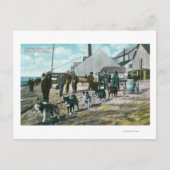 Carte Postale Eau de Hauling avec Chiens Nome, AK (Devant)