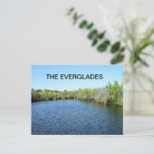 CARTE POSTALE EAU DES EVERGLADES (Debout devant)