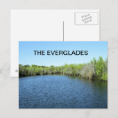 CARTE POSTALE EAU DES EVERGLADES (Devant / Derrière)