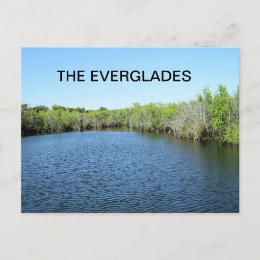 CARTE POSTALE EAU DES EVERGLADES (Devant)