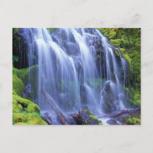 Carte Postale Eau douce printanière coulant sur de la mousse