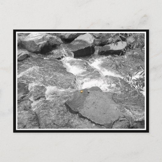 Carte Postale Eau et rochers (Devant)