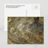 Carte Postale Eau fontaine d'or (Devant / Derrière)