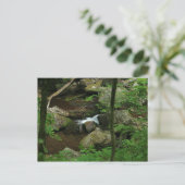 Carte Postale Eau froide (Debout devant)