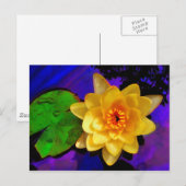CARTE POSTALE EAU JAUNE LILY (Devant / Derrière)
