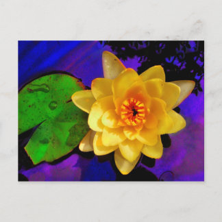 CARTE POSTALE EAU JAUNE LILY