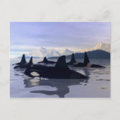Carte Postale Eau Lumineuse Orca (Devant)