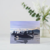 Carte Postale Eau Lumineuse Orca (Debout devant)