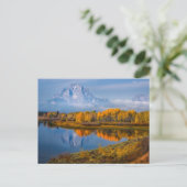 Carte Postale Eau | Oxbow Bend Jackson Wyoming (Debout devant)