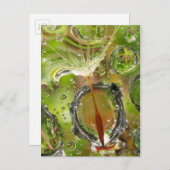 Carte Postale Eau sur les graines de pissenlit, CA (Devant / Derrière)