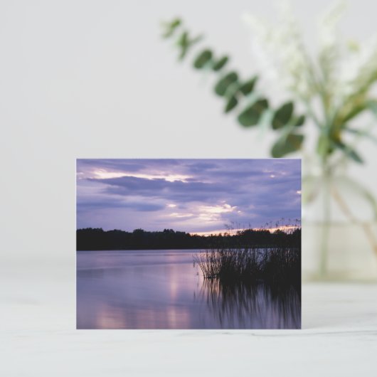 Carte Postale Eaux calmes (Debout devant)