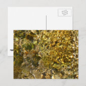 Carte Postale Eaux de la rivière Kaweah Nature Abstraite (Devant / Derrière)