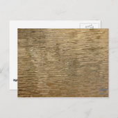 Carte Postale Eaux du barrage Barker au parc national Joshua Tre (Devant / Derrière)