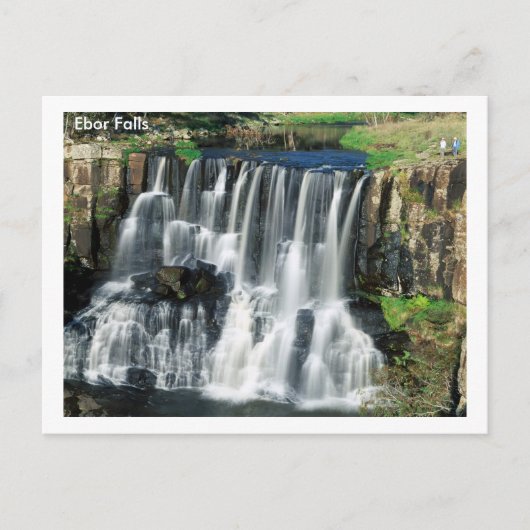 Carte Postale Ebor Falls (Devant)