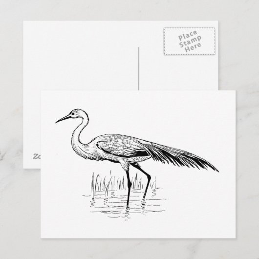 Carte Postale ébranler (Devant / Derrière)