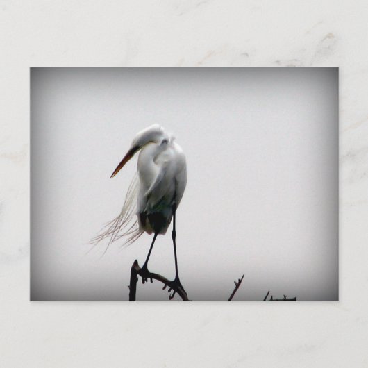 Carte Postale ébranler (Devant)