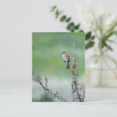 Carte Postale Écart (Debout devant)