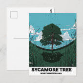 Carte Postale Écart de l'arbre Sycamore (Devant / Derrière)