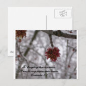 Carte Postale Ecclesiaste 3:1 (Devant / Derrière)