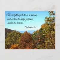 Ecclesiastes 3:1 À tout il y a une saison..