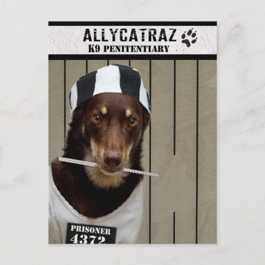 Carte Postale Échapper d'Allycatraz (Devant)