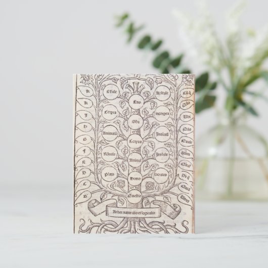 Carte Postale Échelle céleste (Debout devant)