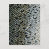 Carte Postale Échelles de poisson 2 (Devant)